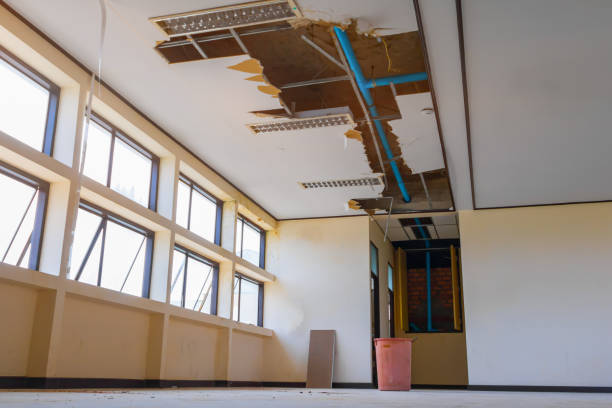 Best Water damage restoration near me  in Nelsonville, OH