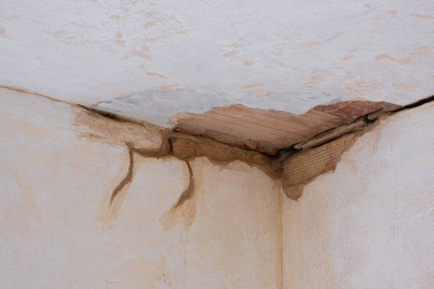 Best Water damage restoration near me  in Nelsonville, OH