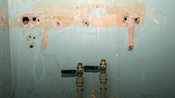 Best Water damage restoration cost  in Nelsonville, OH