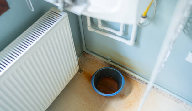 Best Residential water damage restoration  in Nelsonville, OH