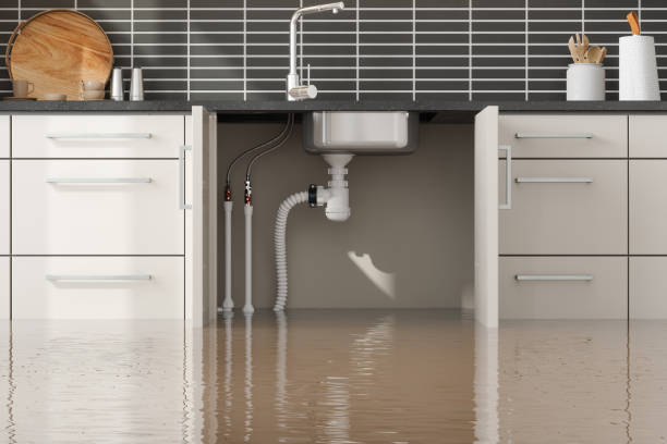 Best Flood damage cleanup  in Nelsonville, OH
