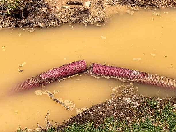 Best Professional water damage repair  in Nelsonville, OH